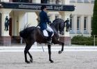Чемпионат Украины по выездке 