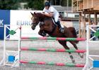 Кубок Дарлинга. Flying Horse Club